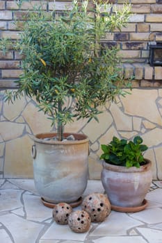beautiful place in the garden in the mediterranean style, pots with flowers