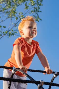 Little boy standing on ropes in a playground and looking confidently into the distance. A new growing sprig...