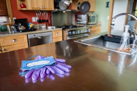 N-95 mask and nitrile disposable gloves on a steel kitchen table