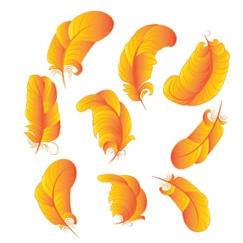Set of feathers in gold gradient color vector graphic illustration on a white background