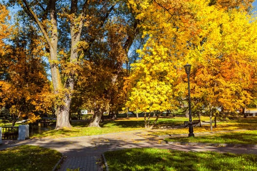 Autumn colors - fall in park with yellow leaves foliage trees