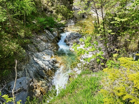 Ötschergraben in lower Austria is a ravine with clear water