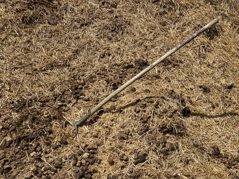 Dung with pitchfork, dung with agriculture tool