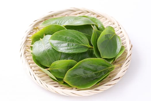 persimmon leaves, herbal medicine in a bamboo basket