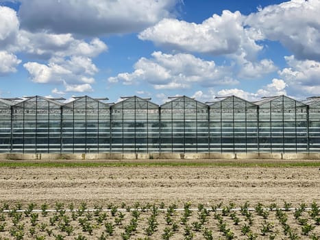 Greenhouse, glasshouse for production of vegetables, flowers or fruits