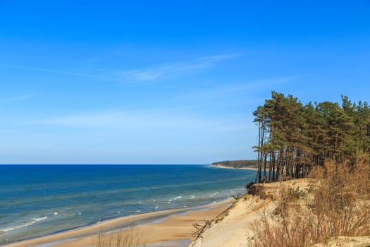 Baltic Sea coast in Latvia. Sand dunes with pines and clouds. Typical Baltic beach landscape