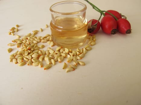 Rose hip essential oil made from wild dog rose seeds