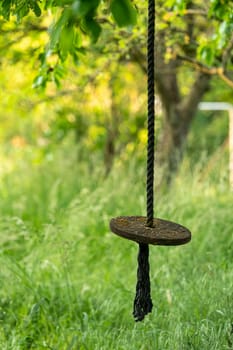 Swing from a wooden disc hangs on a thick rope in an overgrown garden