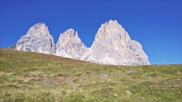 Amazing view on Seceda peak. Trentino Alto Adige, Dolomites Alps, South Tyrol, Italy, Europe. Odle mountain range, Val Gardena. Majestic Furchetta peak. Purple flowers in the morning sunlight.