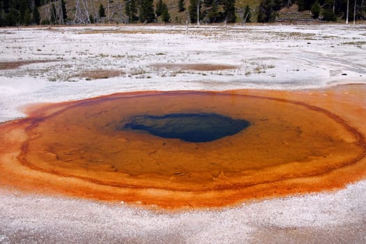 Orange spring basins in Yellowstone National Park