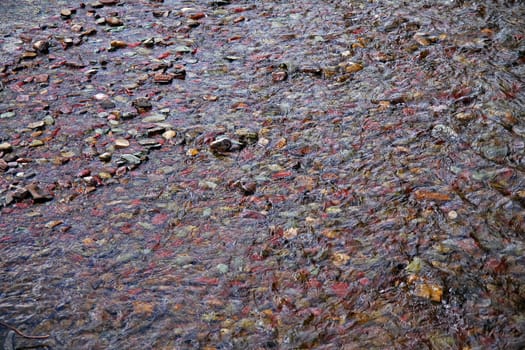 View of colored pebbles in shallow lake waters