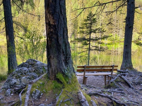 Bench At Green Lake Austria, melting water in the mountains