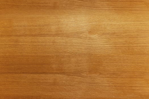 Texture of wood background closeup