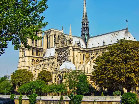 Cathedral Nortre Dame in Paris