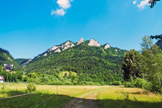 Three Crowns massif in Pieniny Mountains, Poland