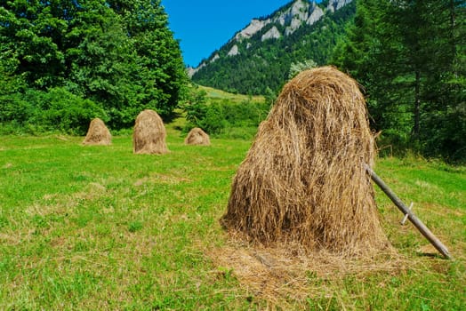 Hay stacks on field