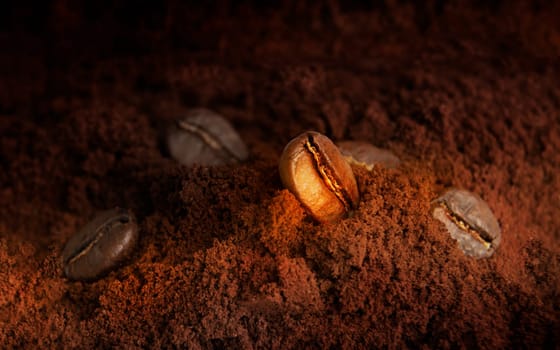 Coffee beans and ground coffee, macro photo in warm colors. The concept of making coffee.