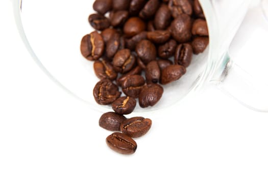 Macro capture of coffee beans in a glass cup on white background