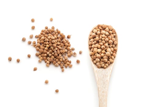 Coriander seeds spices in wooden spoon isolated on white background