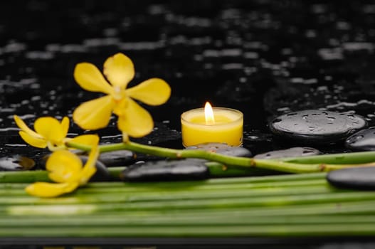 Spa aromatherapy relax site