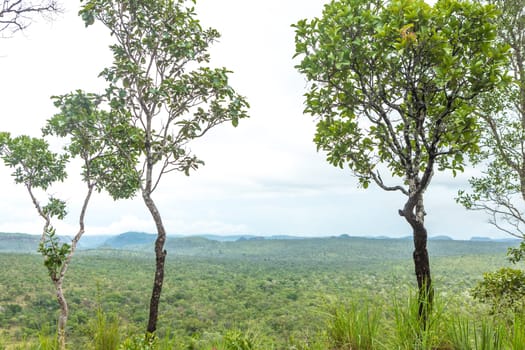 Chapada das Mesas in Maranhão Brazil.