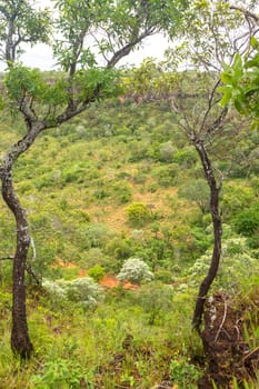 Chapada das Mesas in Maranhão Brazil.