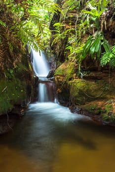 Chapada das Mesas in Maranhão Brazil.