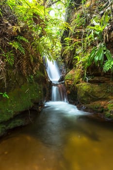 Chapada das Mesas in Maranhão Brazil.