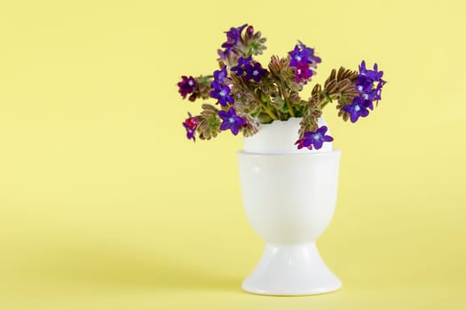 Small purple flowers in a white vase - an egg stand on a yellow background