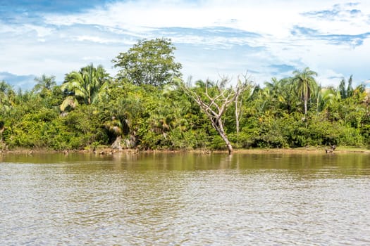 Chapada das Mesas in Maranhão Brazil.