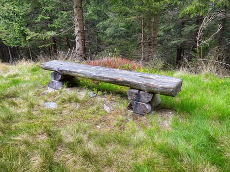 Wooden bench in the forest, resting place during the excursion