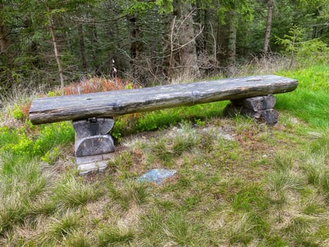 Wooden bench in the forest, resting place during the excursion