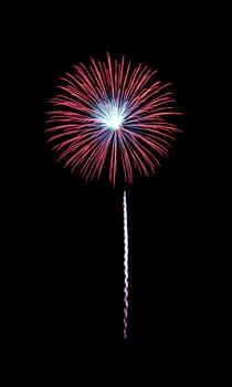 Beautiful red and blue fireworks exploding in the night sky, isolated on black background. New year and anniversary concept.