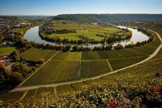 German river neckar loop near Mundelsheim landscape