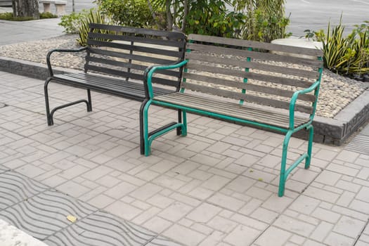 alley and bench of the garden.