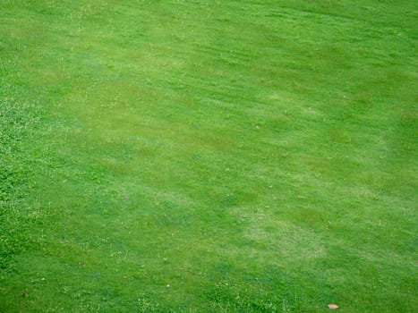 Green grass texture background, Top view of grass garden Ideal concept used for making green flooring