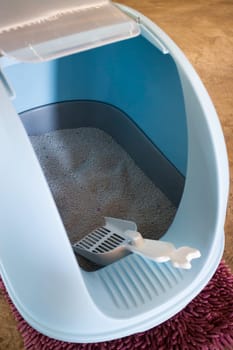 Cleaning cat litter box place, stock photo