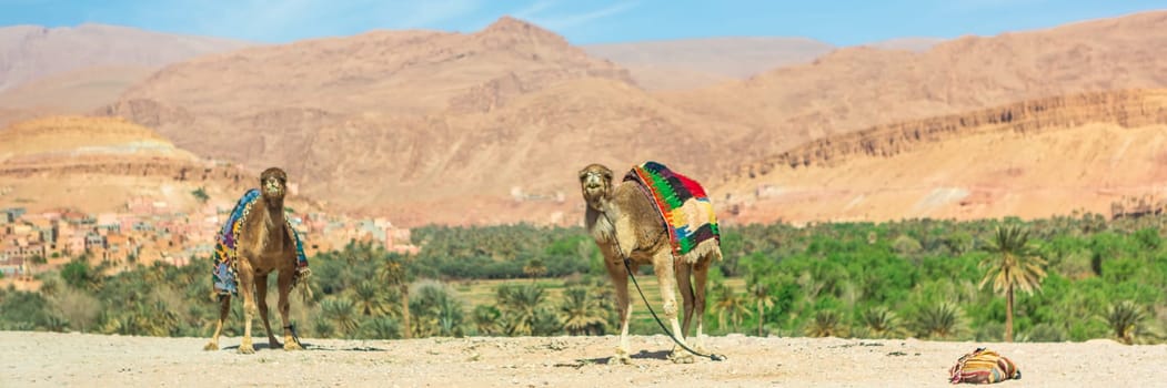 Merzouga in the Sahara Desert in Morocco. Afica. Web banner in panoramic view.