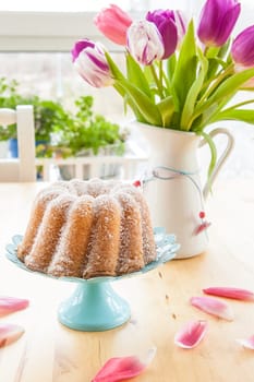 Sand cake in Gugelhupf mould and fresh tulips
