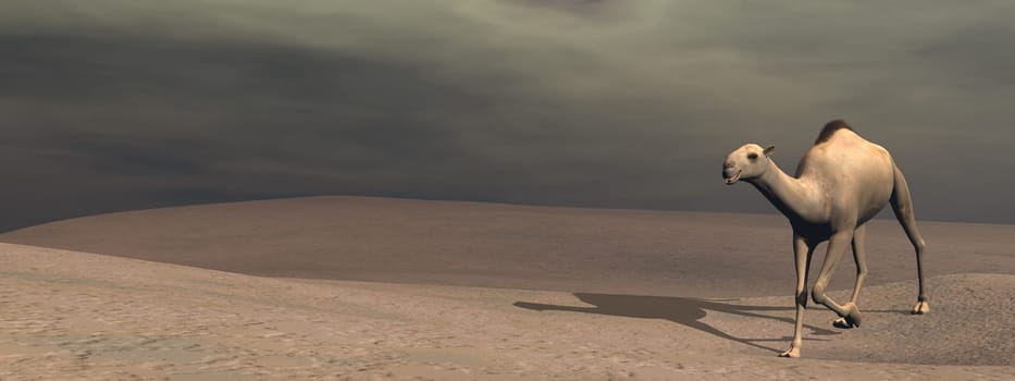 Camel walking alone in the desert by cloudy day - 3D render
