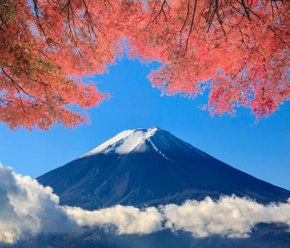 image of beautiful maple place for adv or others purpose use