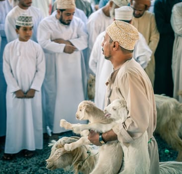 Nizwa, Oman, December 2, 2016: Goat sellers at the Friday goat market in Nizwa, Oman
