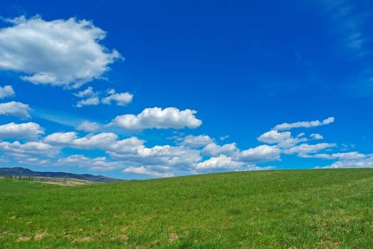 Landscape with grass fields, blue sky and white clouds