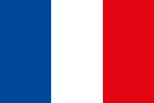 French flag. Official state symbol of country.