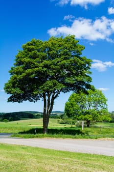 Landscape in the Eifel in Germany