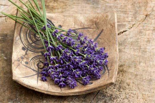 Bunch of lavender flowers on clay plate