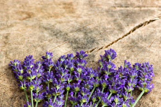 Bunch of lavender flowers on old wooden background