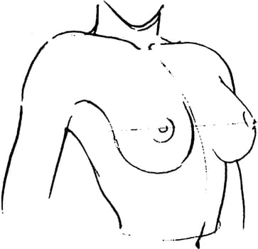 Tutorial of drawing a female body. Drawing the human body, step by step lessons. Female breast drawing tutorial. Drawing a woman's body with an emphasis on breasts.