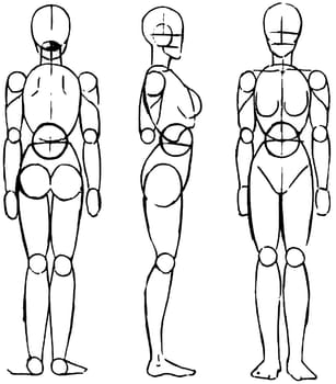 Tutorial of drawing a female body. Drawing the human body, step by step lessons.