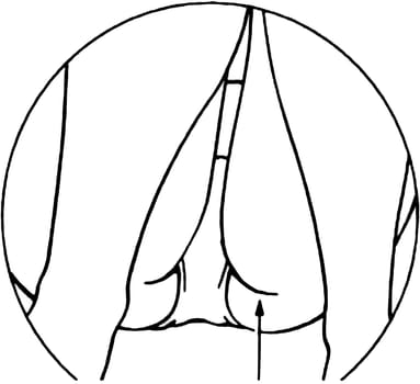Drawing lesson of a seated woman. Drawing cowards and lower body. tutorial, Tutorial of drawing a female body. Drawing the human body, step by step lessons.